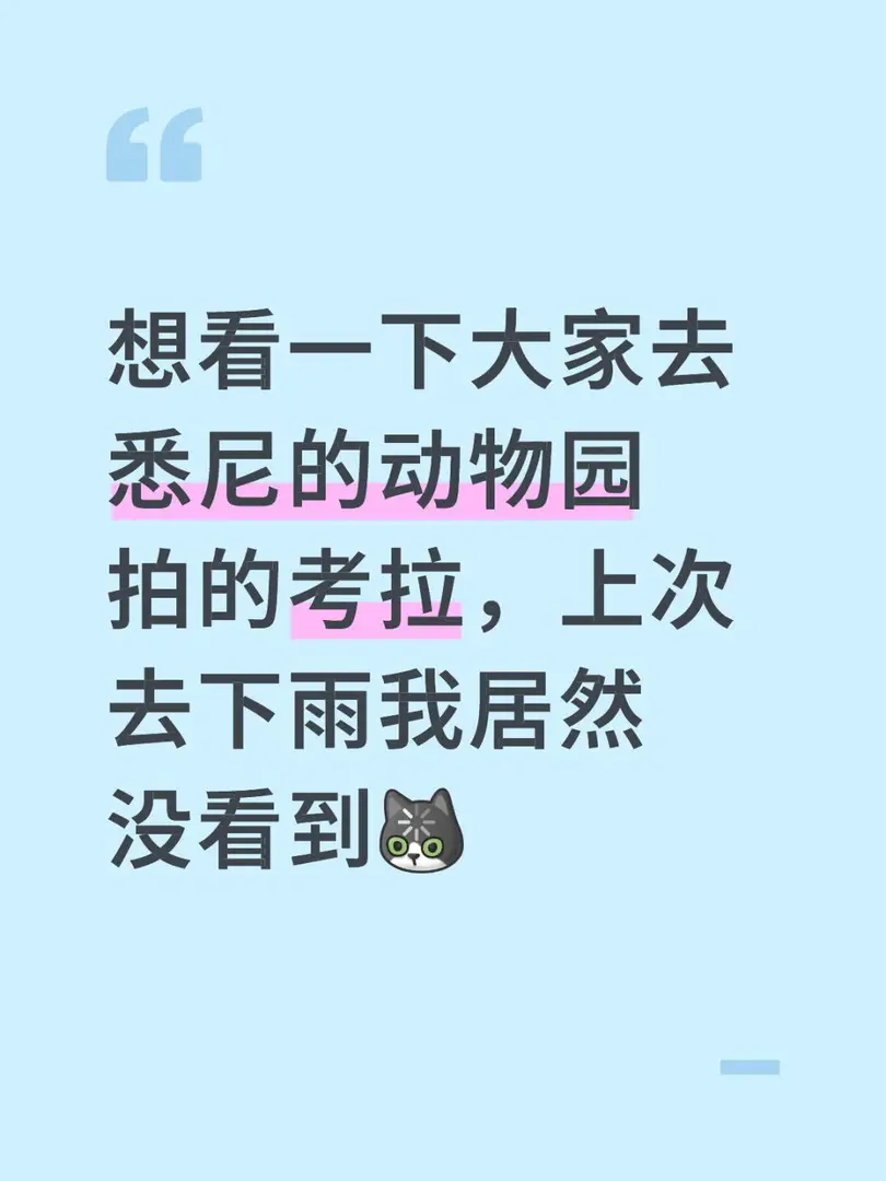 想看一下大家拍的考拉🐨