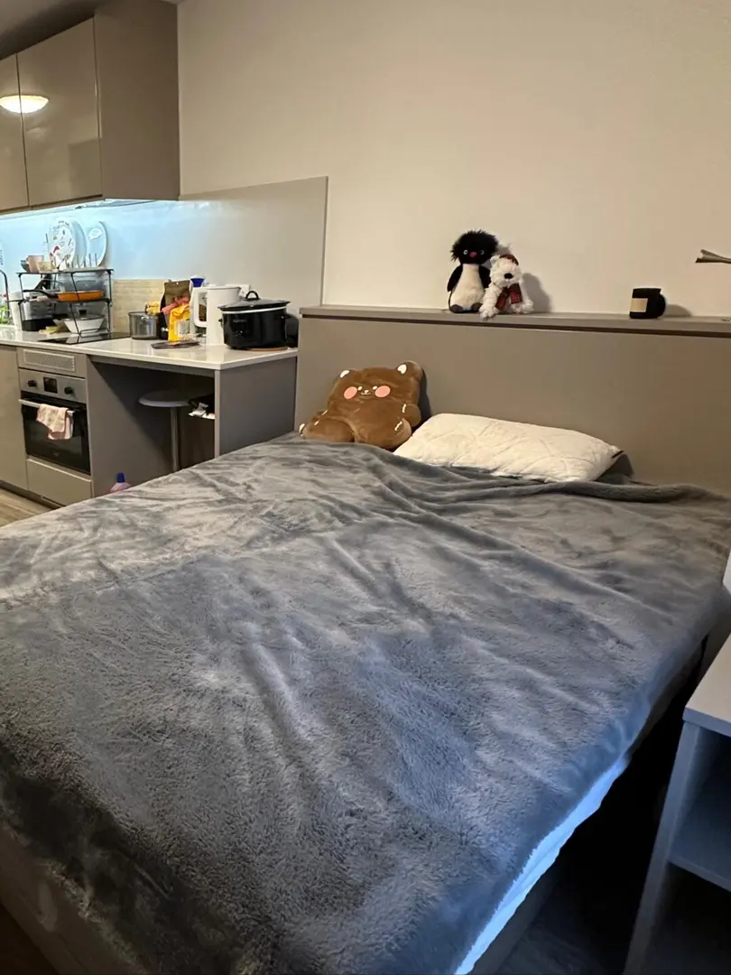 利茲25fall新公寓 帶洗衣機的studio帶露台