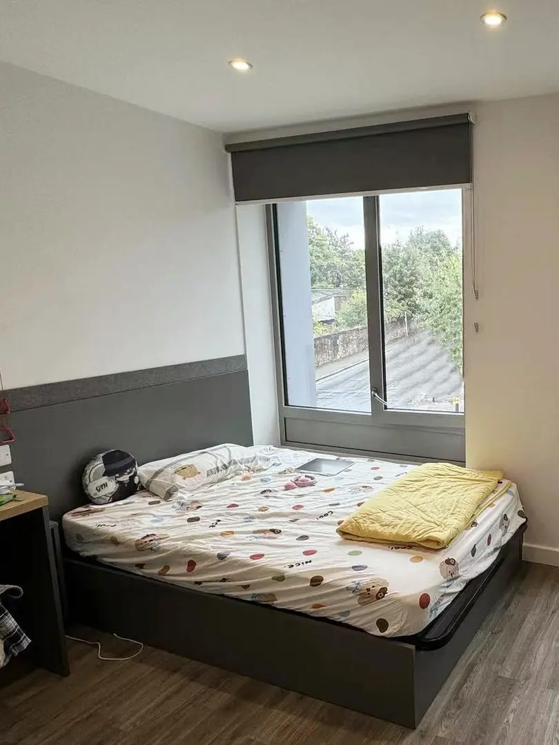 著急回國  倫敦轉租個學校附近4xx的studio