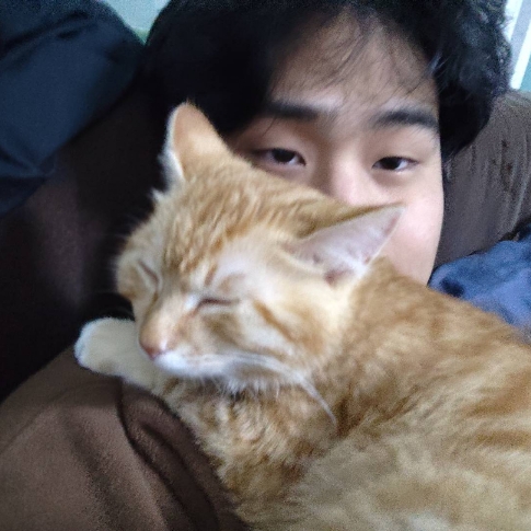 東倫敦的落地窗studio，太美了！