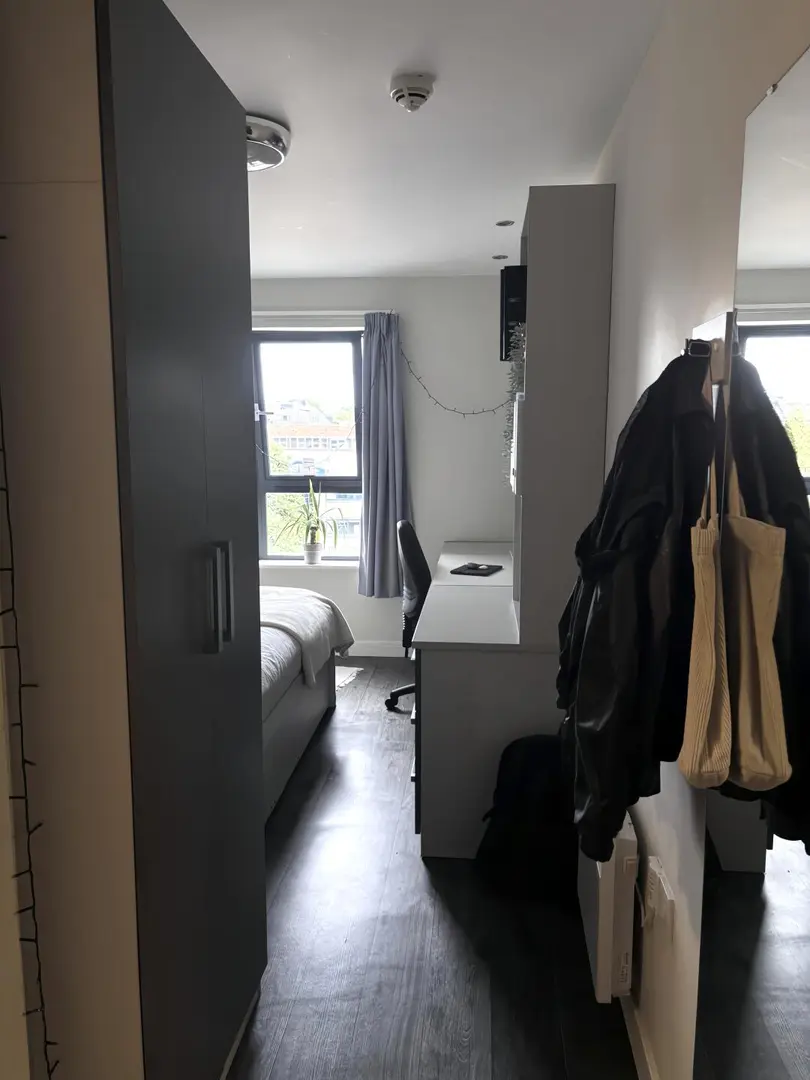 愛丁堡大學不到200p全中國室友