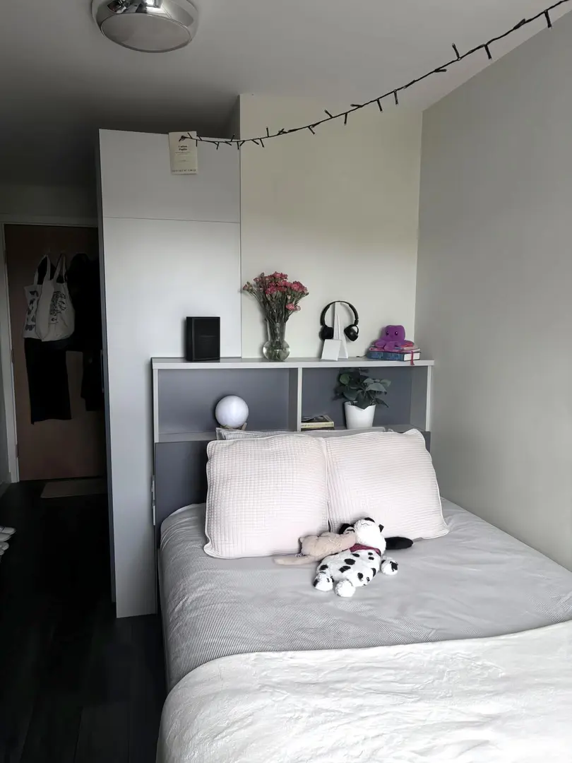 愛丁堡大學不到200p全中國室友