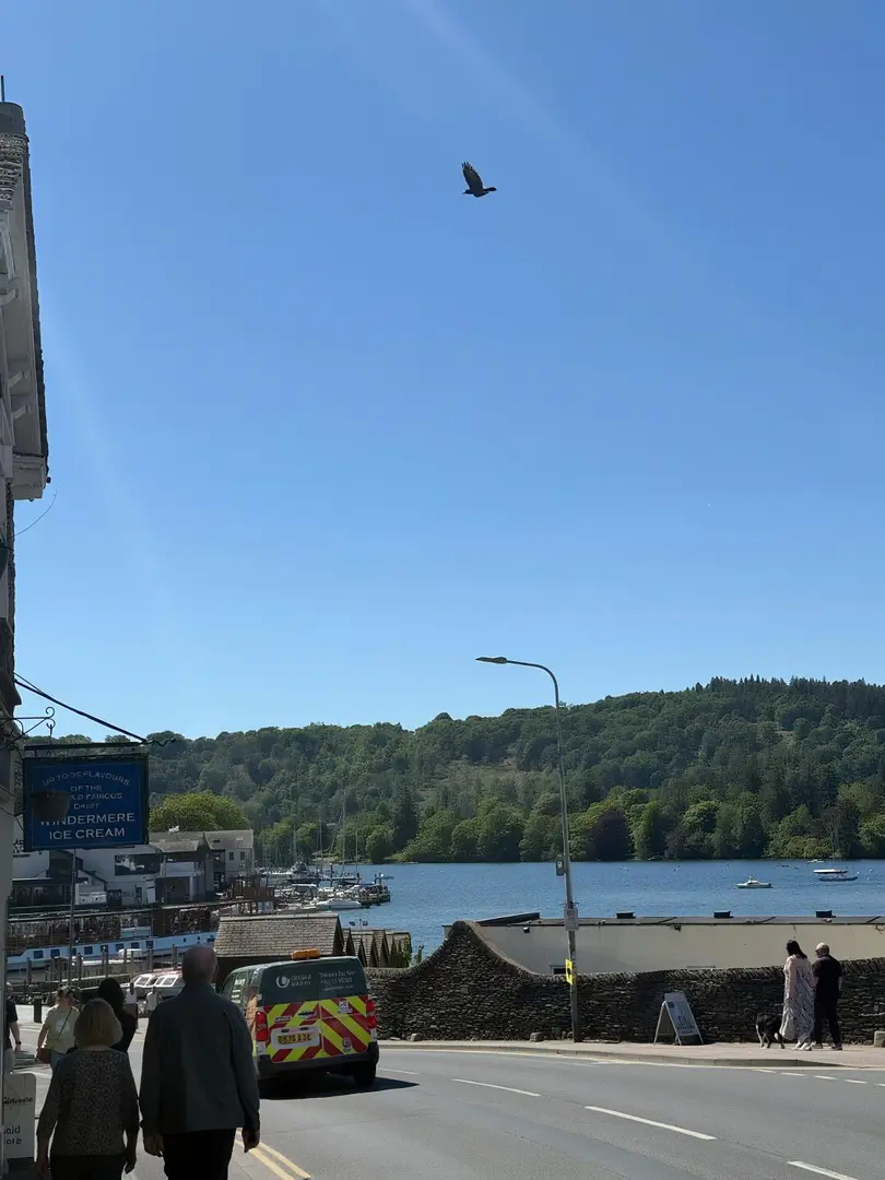 🇬🇧靈魂在鄉村說的沒錯！！！