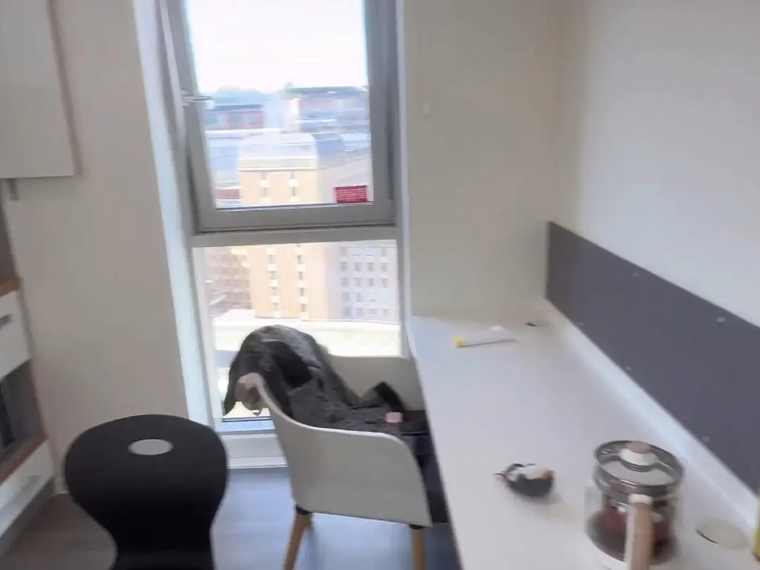 布里斯托，1b1b，步行到學校10分鐘