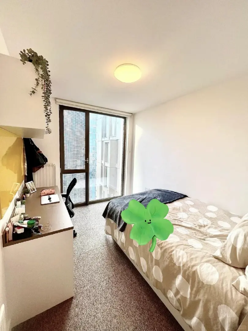 🏠伦敦4站直达ucl的ensuite只要259pw