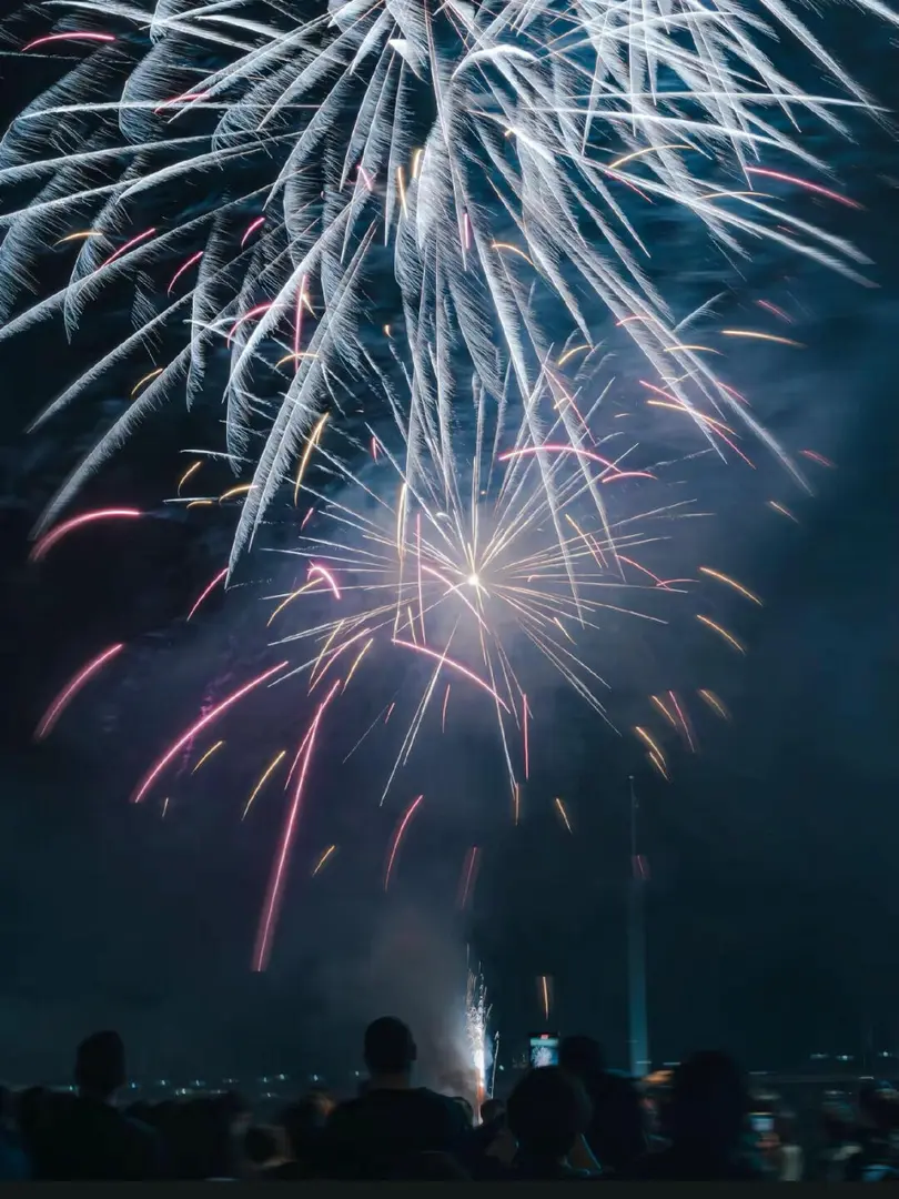 🎆悉尼达令港烟花绝美瞬间！浪漫值拉满