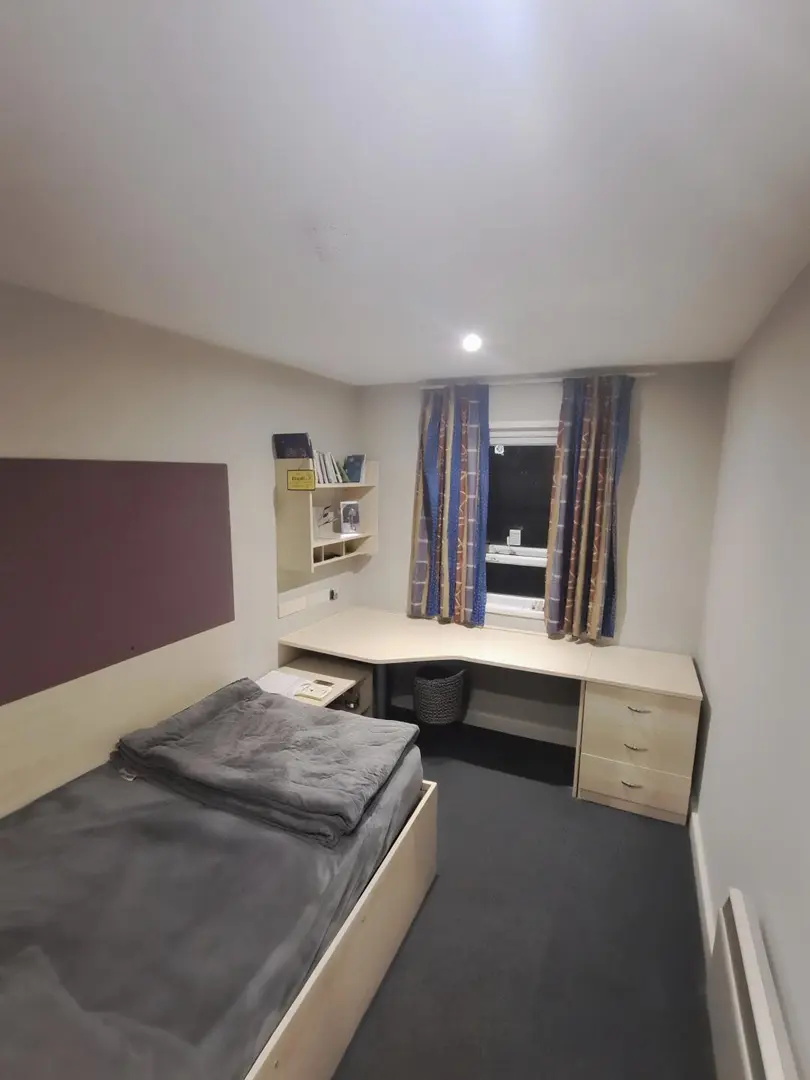 畢業轉租 幫曼大同學的小窩找下一任租客！