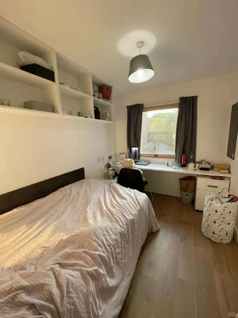 🏠转租ucl 附近的ensuite，200pw ～