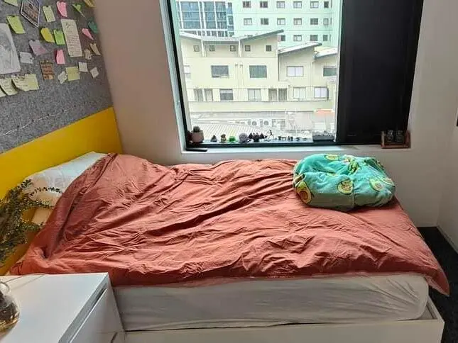 墨爾本大學studio一間 低價出長租