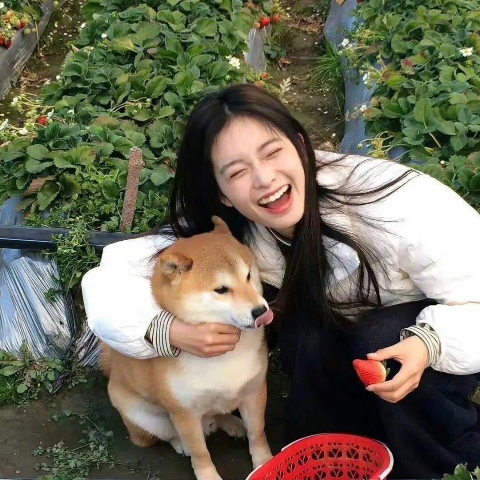 雪梨2月同學們最愛的螃蟹戶型來啦～