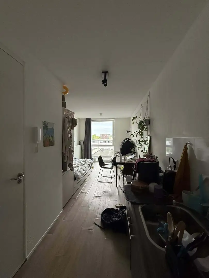 愛丁堡studio轉租包bills，莫雷學院走路到