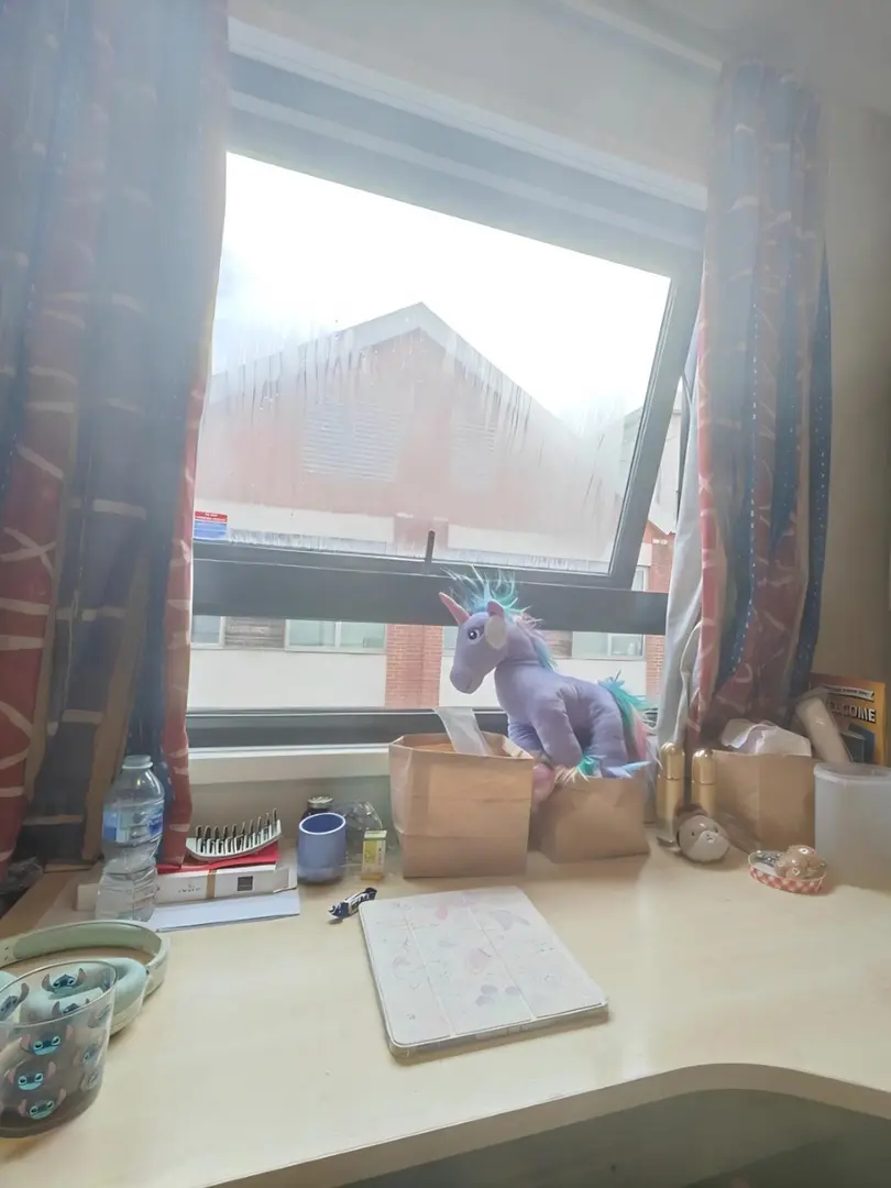 伯明罕市區拼室友｜有空調吹～