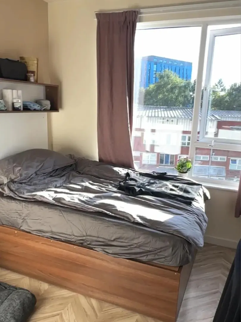 伯明罕大學租房，199pw！自己住的，高層！