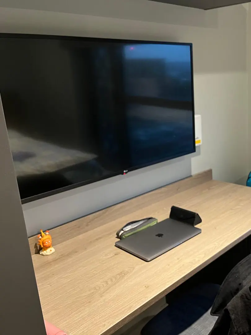 利兹带独卫studio｜25fall转 含泪大🔪！