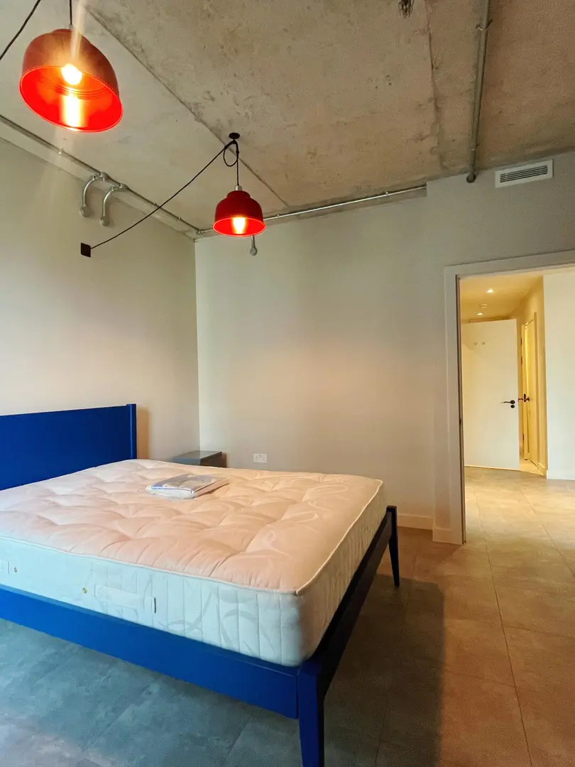 伦敦ucl想拼室友的来一下