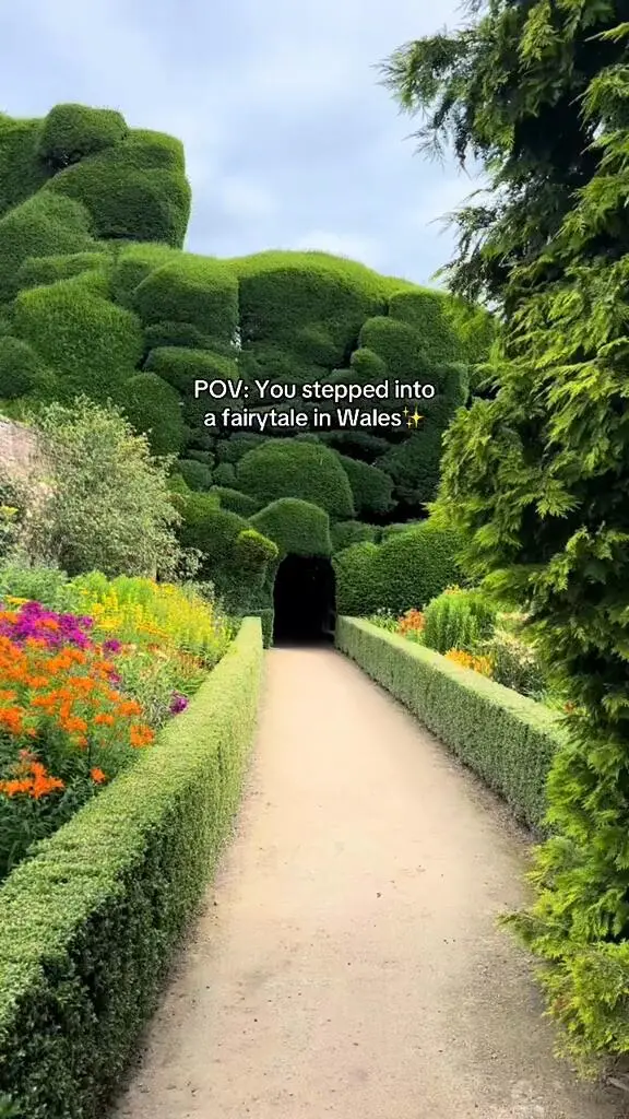 带你走进童话世界