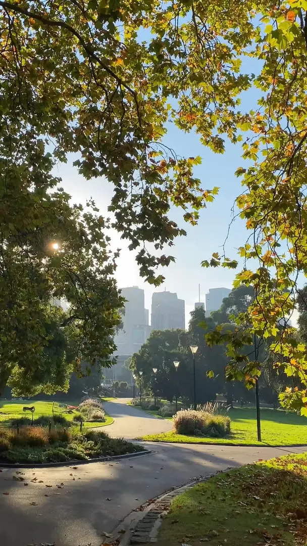 Melbourne_afternoons_🍂_