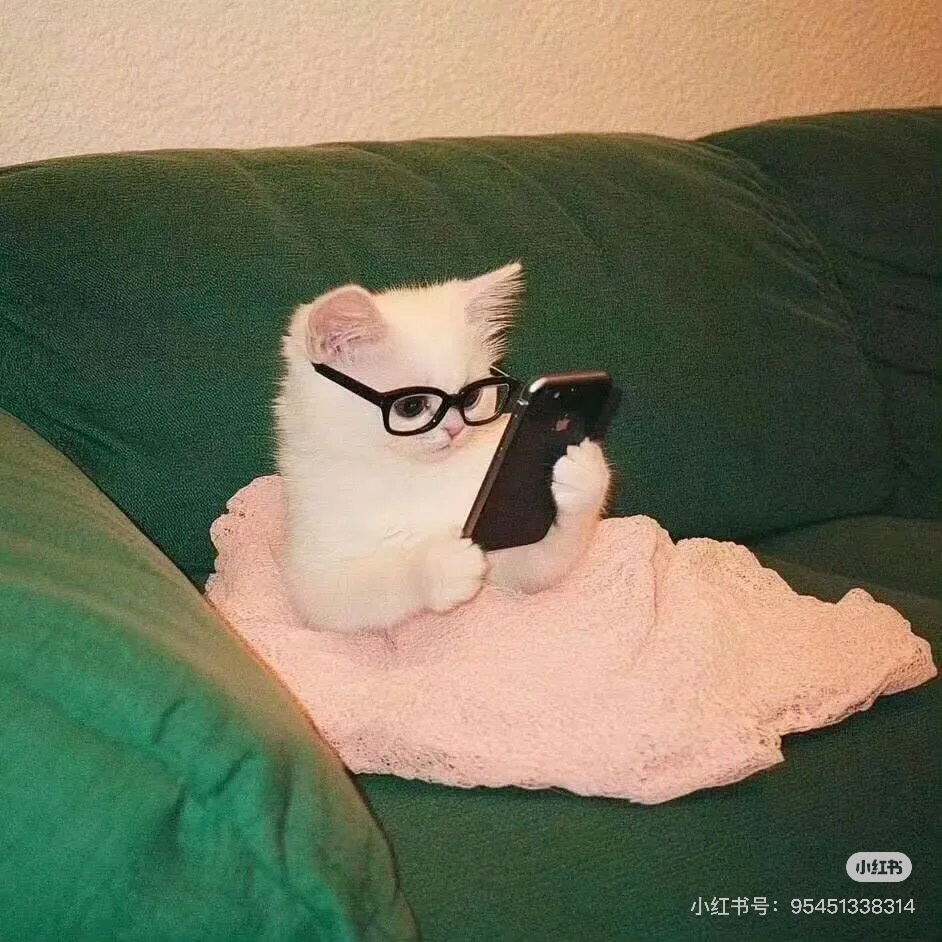 求❗️去格拉有什麼必帶行李嗎？