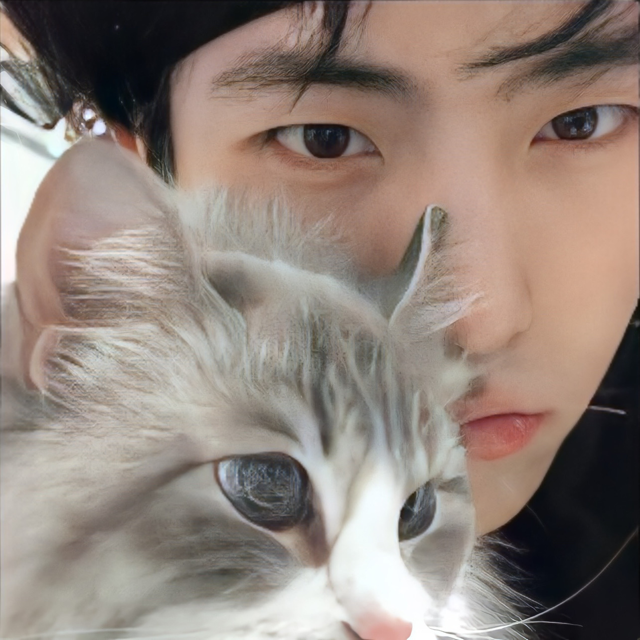 🇭🇰紅磡寶藏Studio 步行至理工大學！