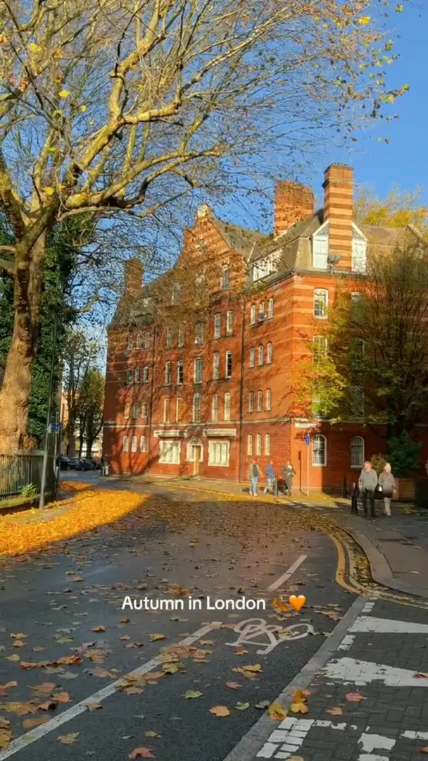 馬上London的秋天就要到來了🍂