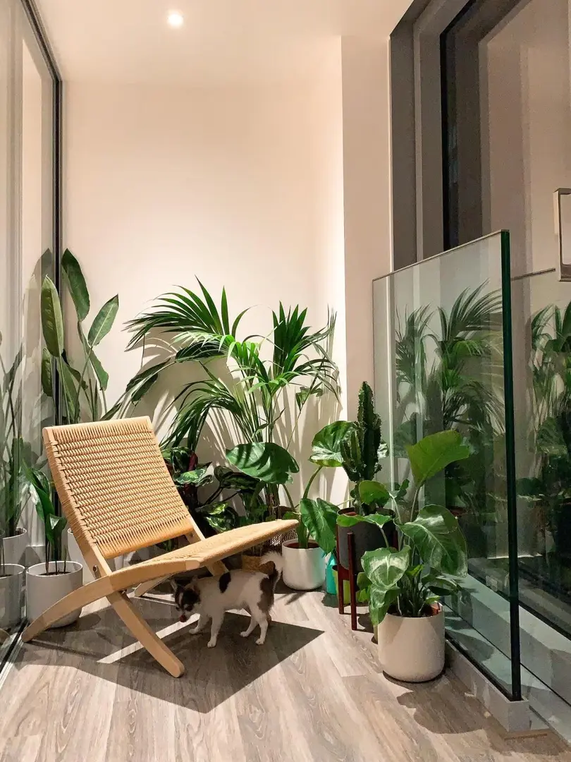 墨爾本26s1 提前蹲室友！人均💰4xx！