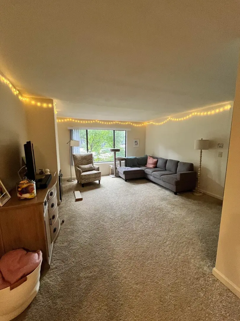 在UNSW旁邊找了個1b1b，T3過去不要太適合