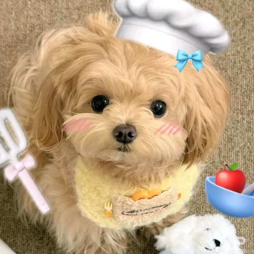 倫敦漂亮2b2b蹲個室友｜長租可小🔪