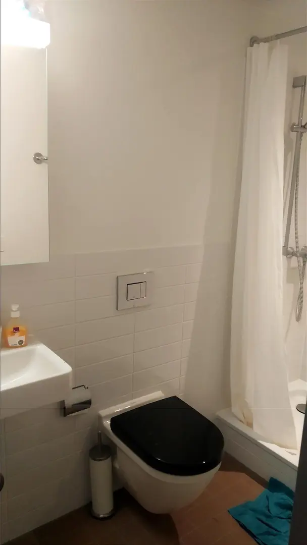 利茲studio 25fall轉租 洗烘一體帶小🔪