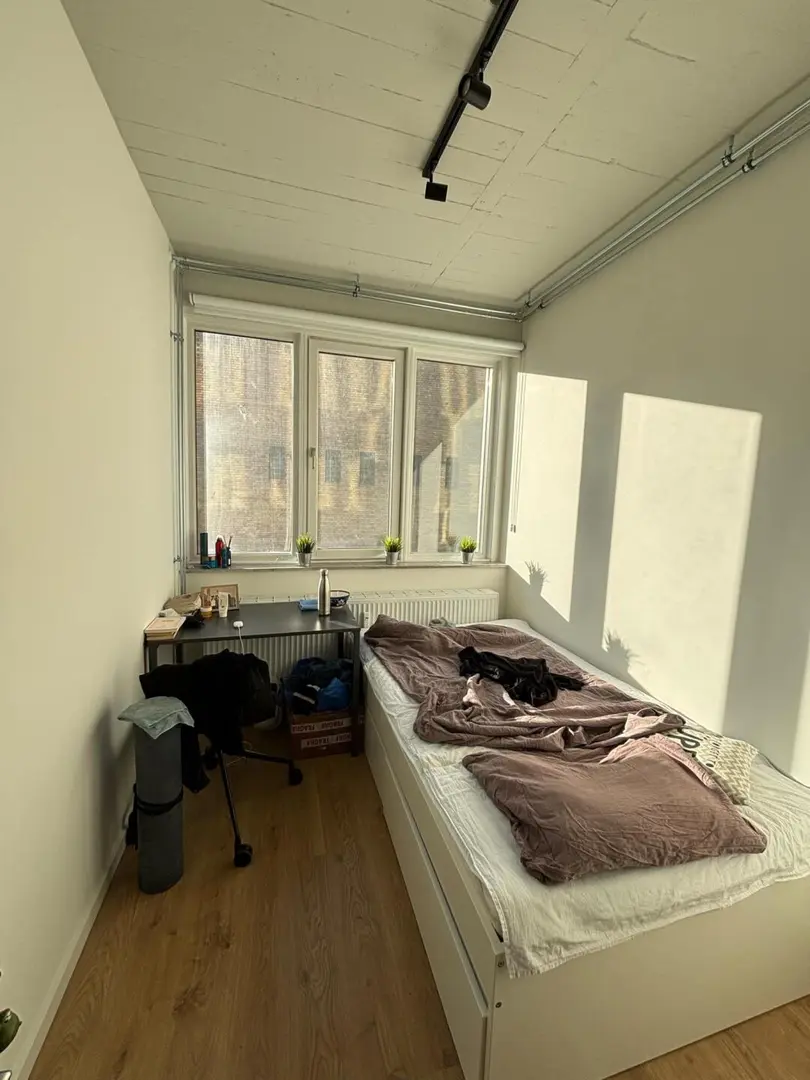 愛丁堡eca校區25fall轉長租合租，全女拼