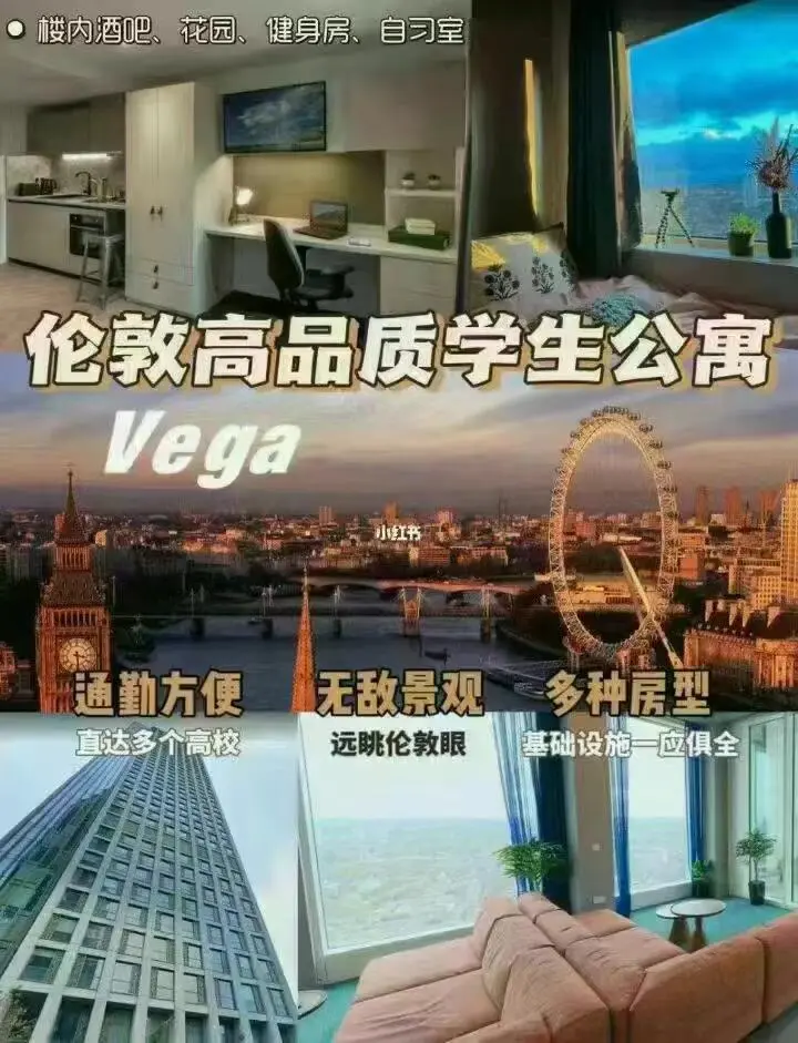 倫敦Vega網紅樓，大面積studio！🌟