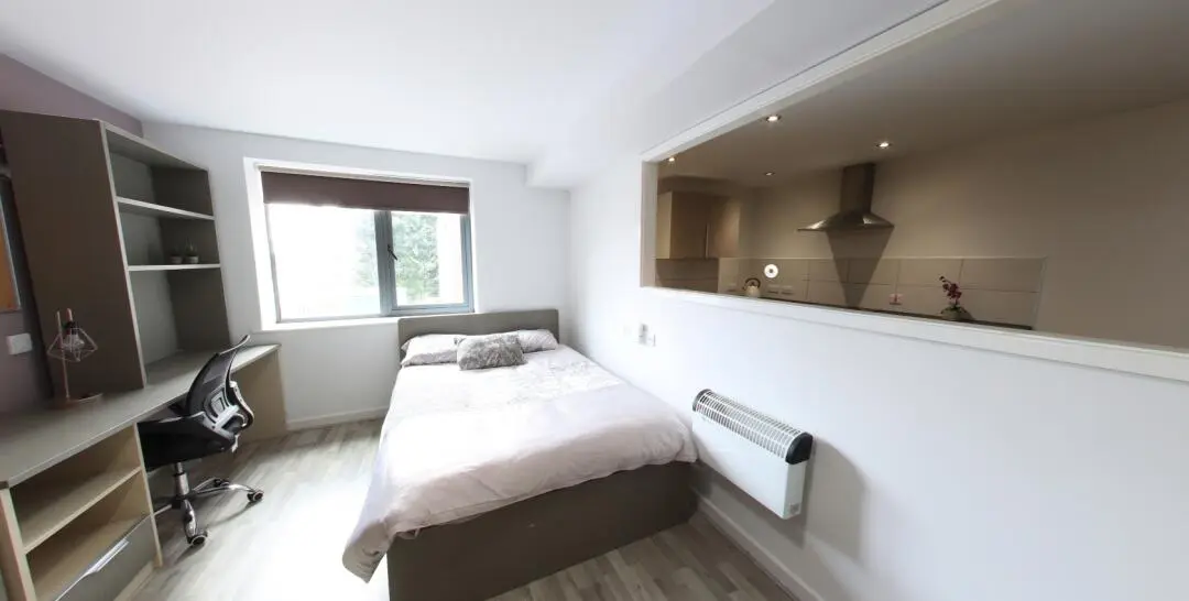 利茲大學33平超大戶型1b1b📌