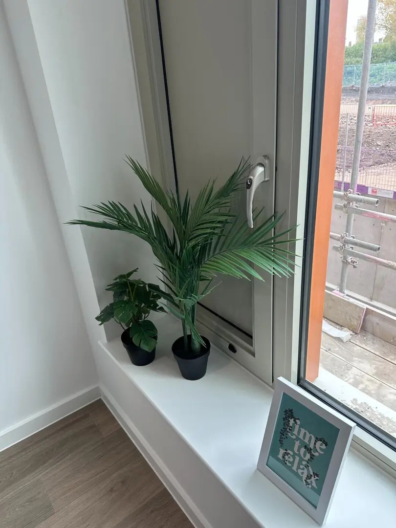 布里斯托拼室友 | 低價出還包 bill