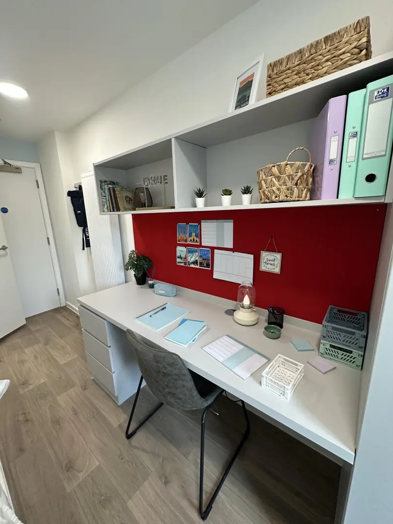 布里斯托拼室友 | 低價出還包 bill