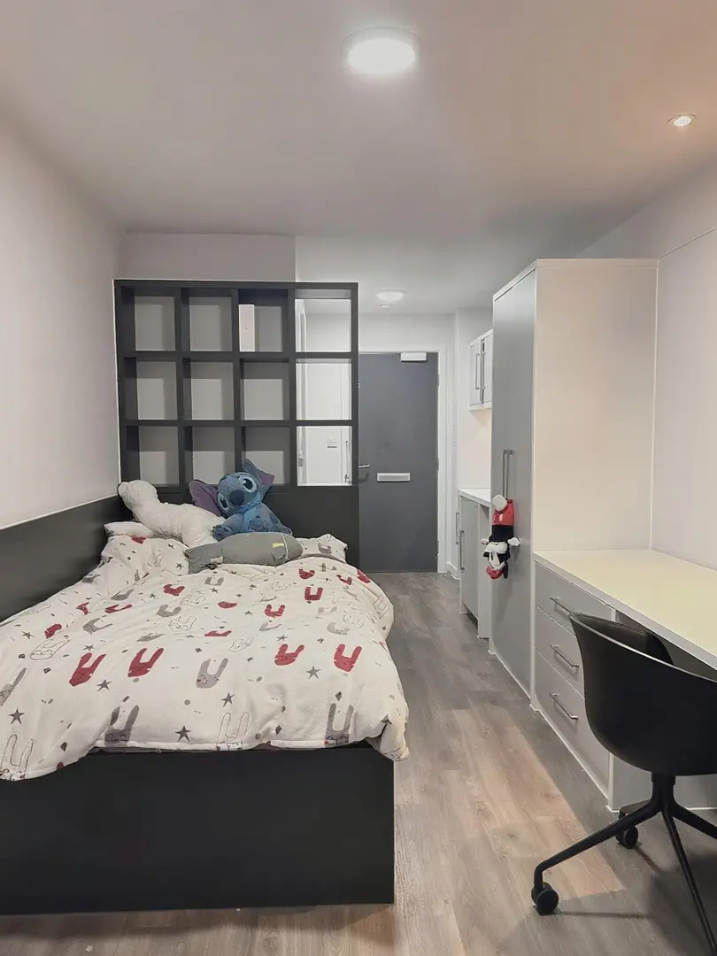 畢業轉租 倫敦校門口studio 包bill還能倆人