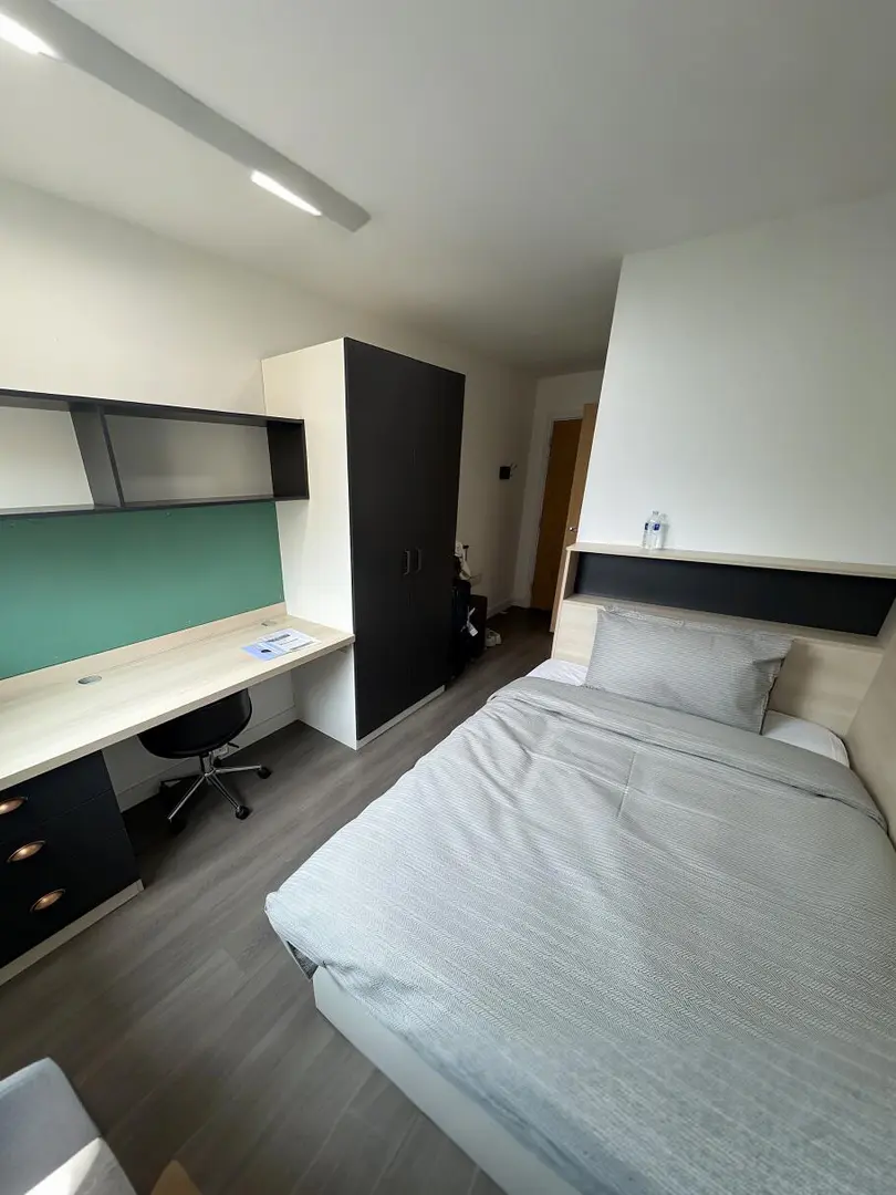 畢業轉租 倫敦ucl附近，295pw帶獨衛包bill