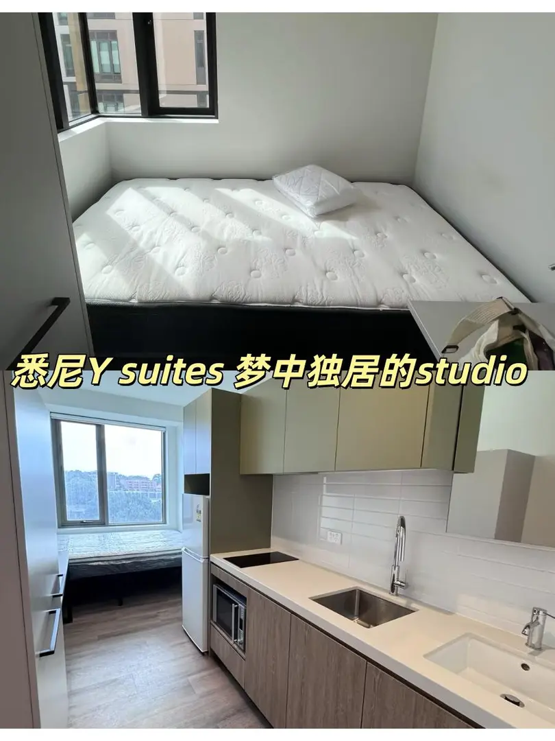 雪梨26開學必看 ！Y siutes是真的香！