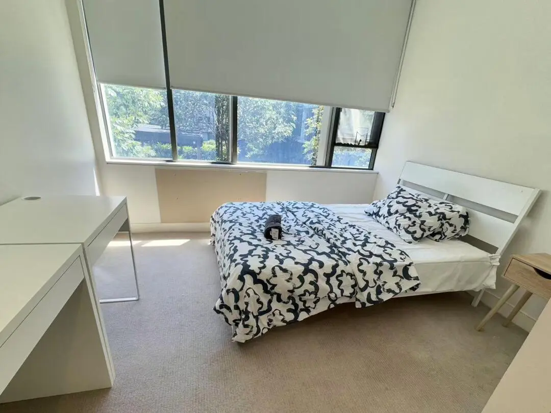 UNSW➗一套神仙2b2b｜可分租