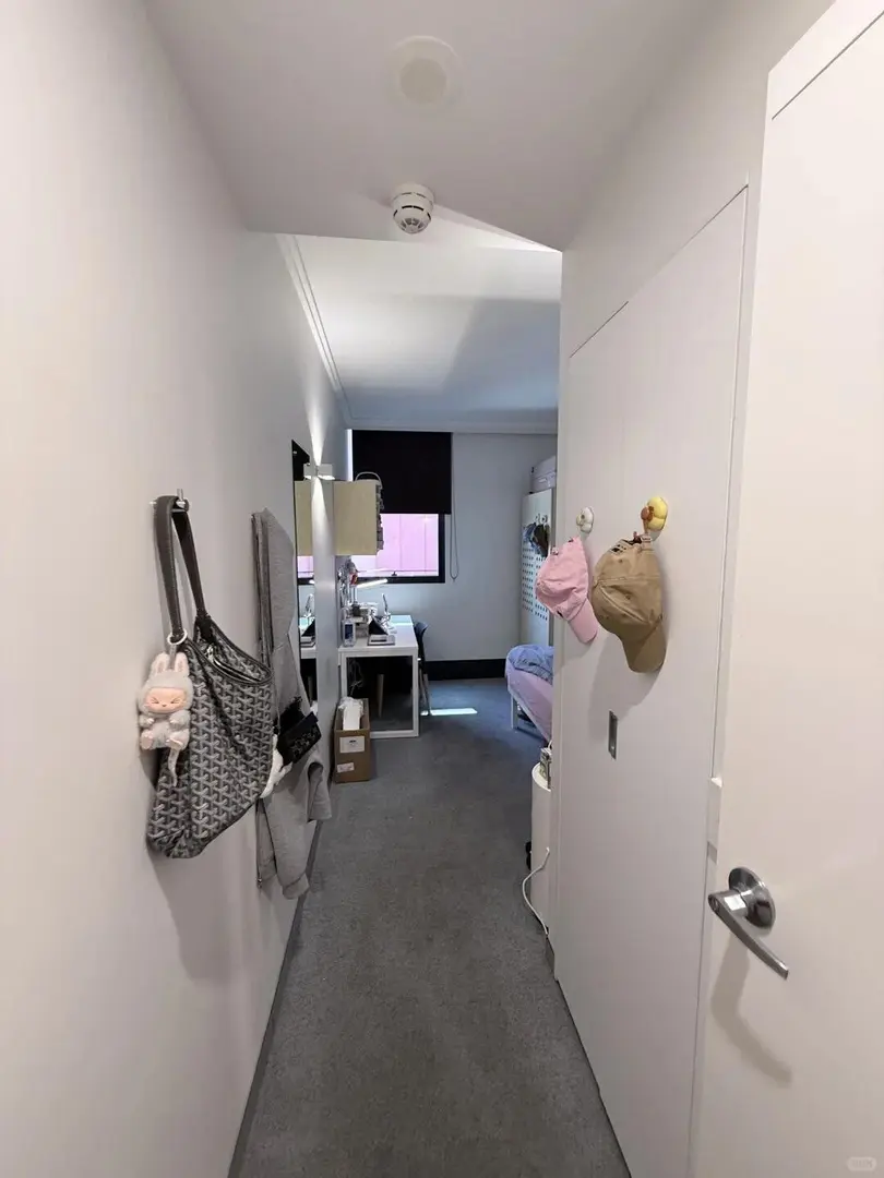 雪梨明年2月的合租｜🚶到USYD、低價拼