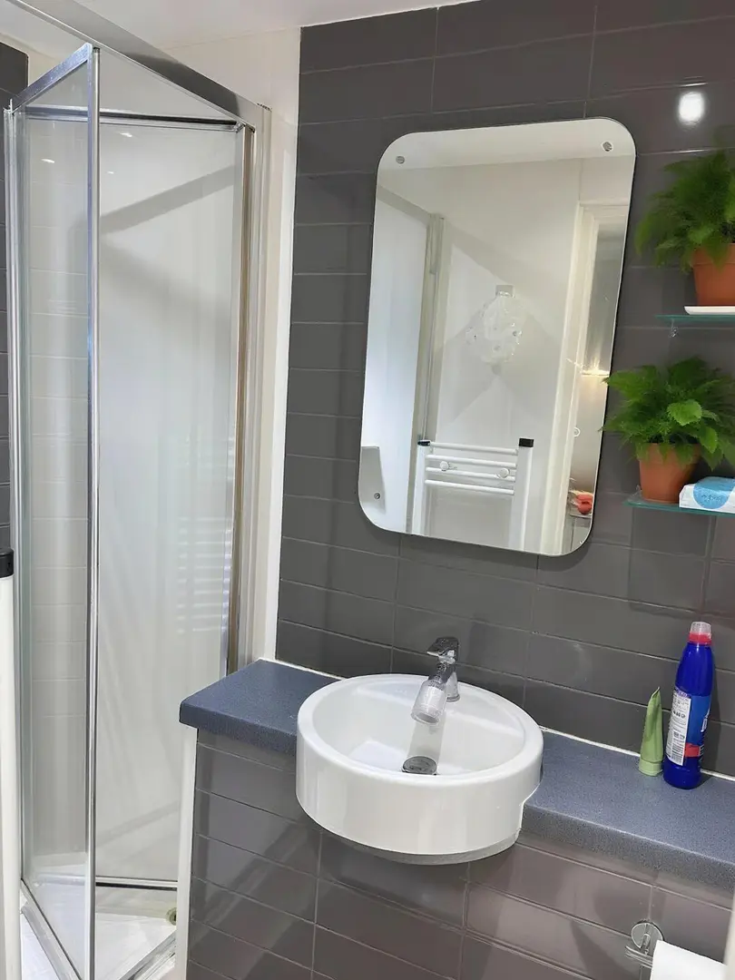 撿漏一間 伯明罕studio帶落地19㎡還包bill