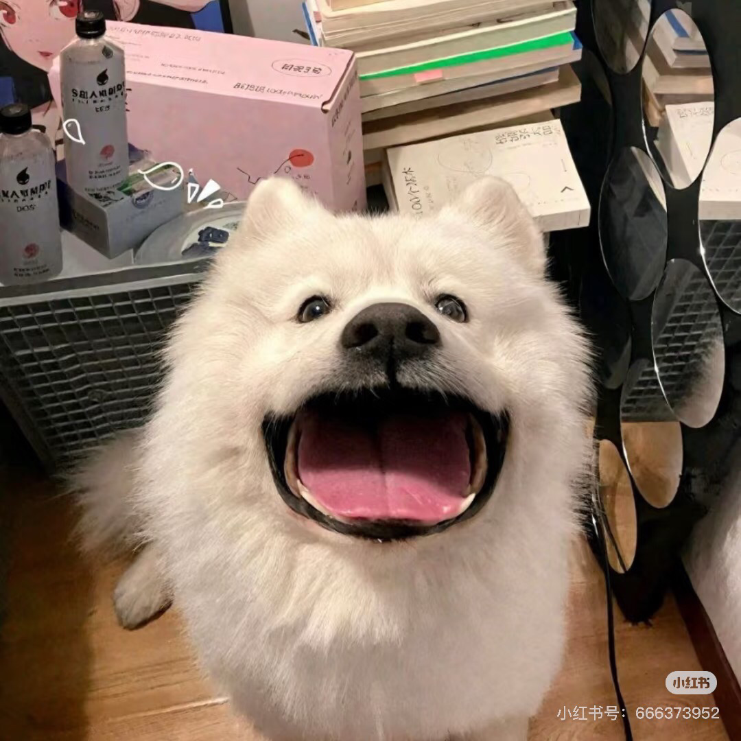 要離開布村了，轉租超舒服的1b1b