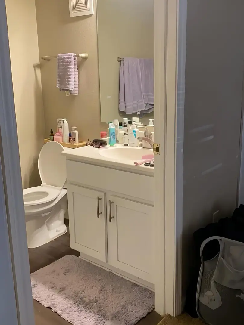 雪梨1b1b急尋新主人！為閨蜜同居含淚割愛