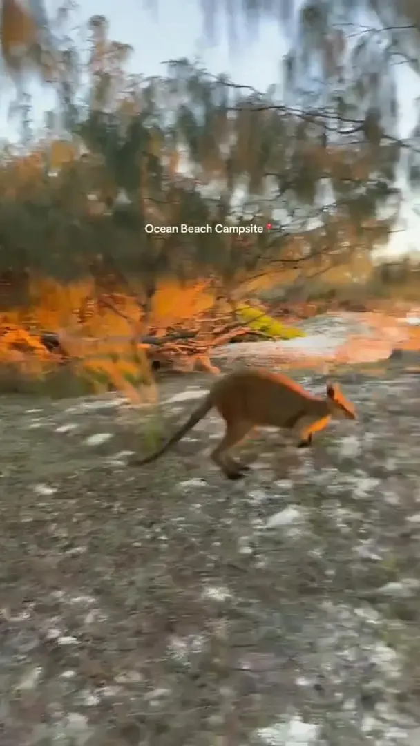 🇦🇺布里斯班的高能量區域