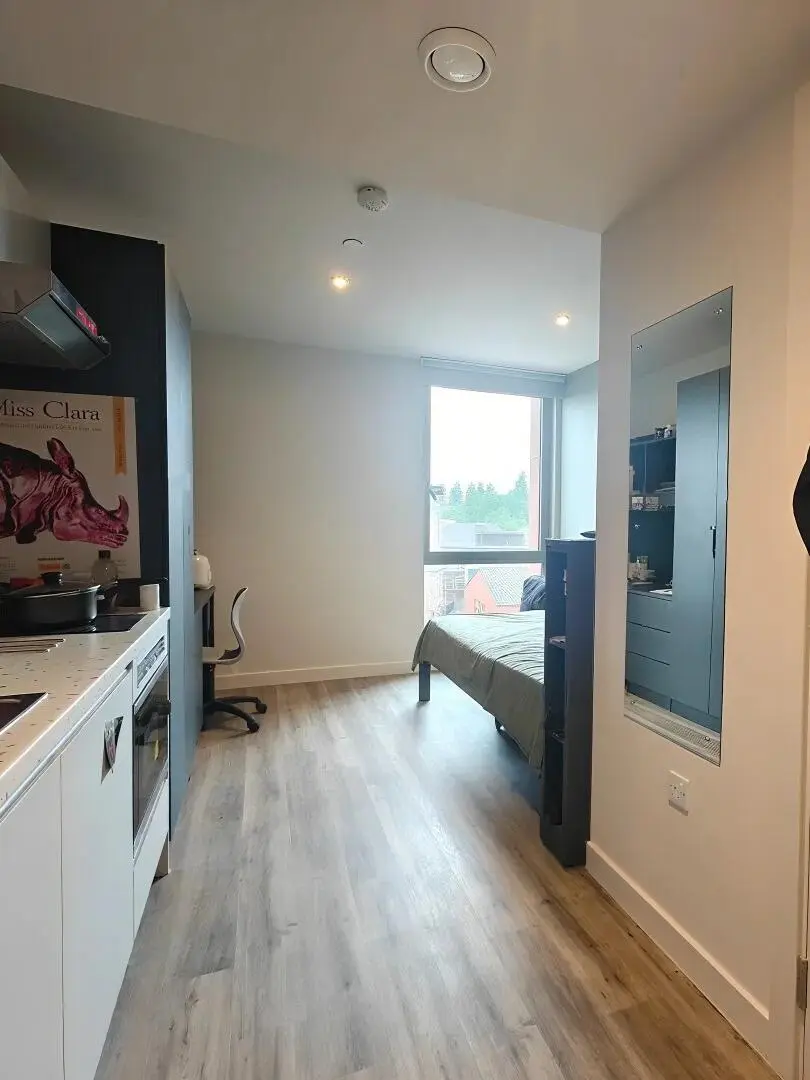 伯明罕大學旁邊落地窗studio 200胖沒刪就在