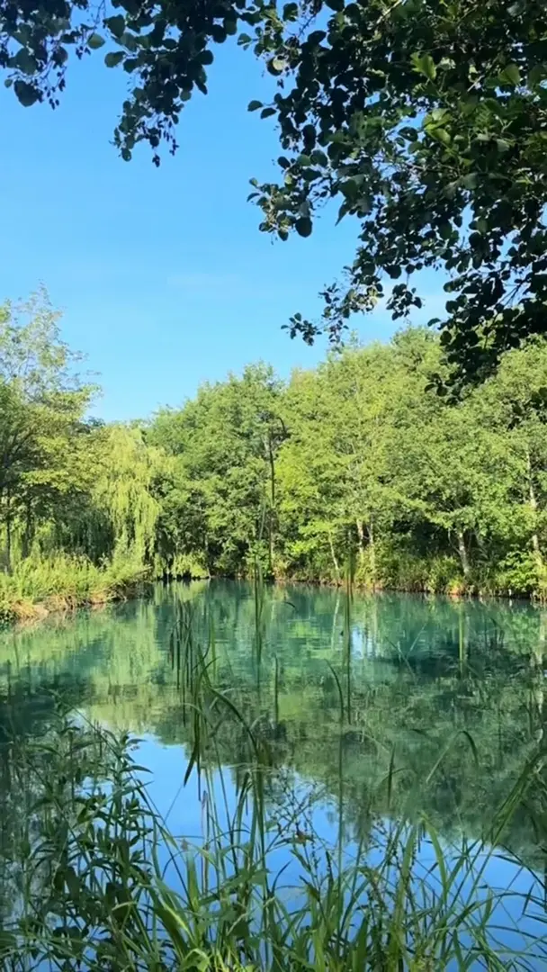 利茲｜宮崎駿的電影濾鏡～