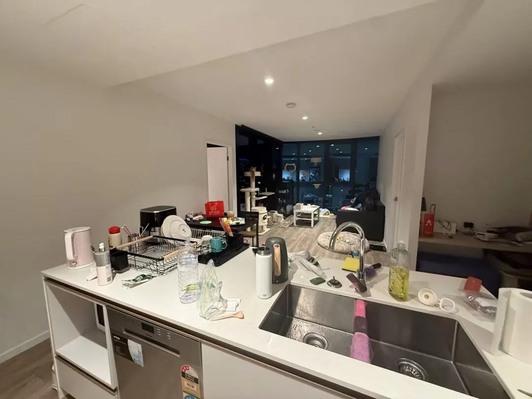 布里斯班出2b2b次臥袋鼠角500pw