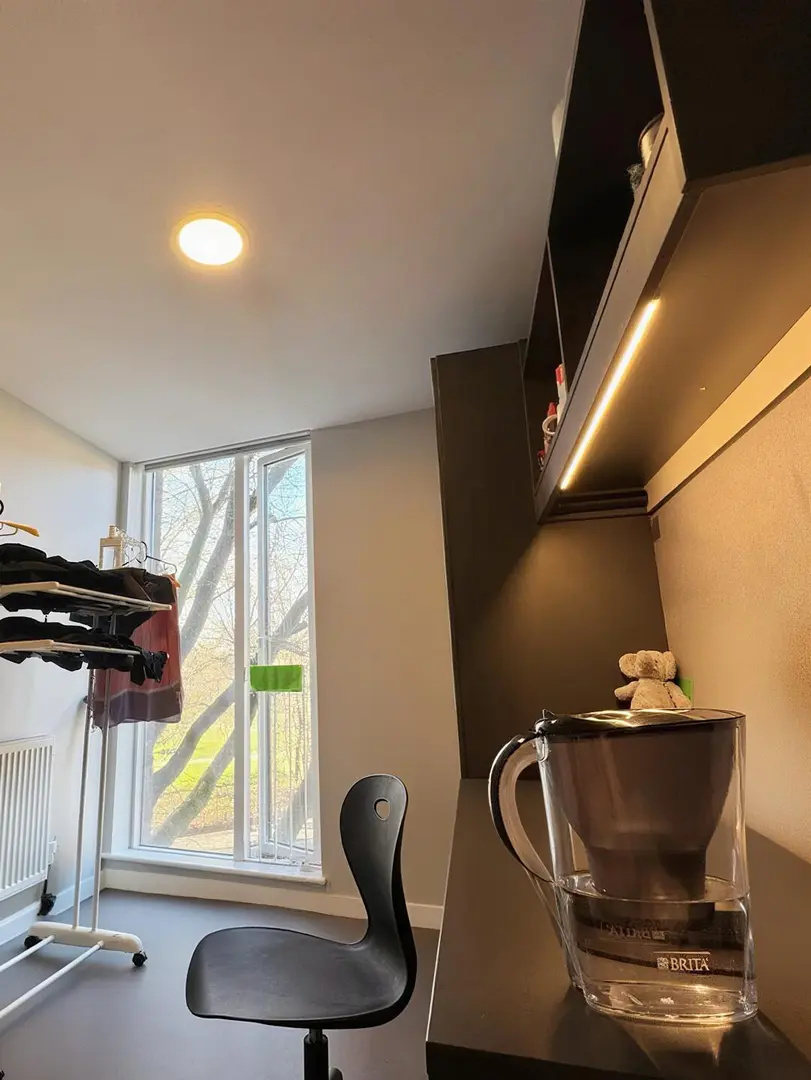 畢業轉租 倫敦落地窗小窩 帶獨衛還包bill