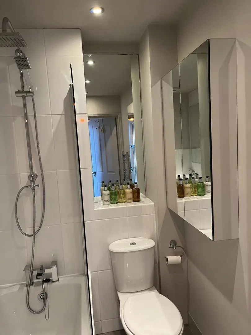 倫敦僅此一套的1b1b找下任租客🙋‍♀️