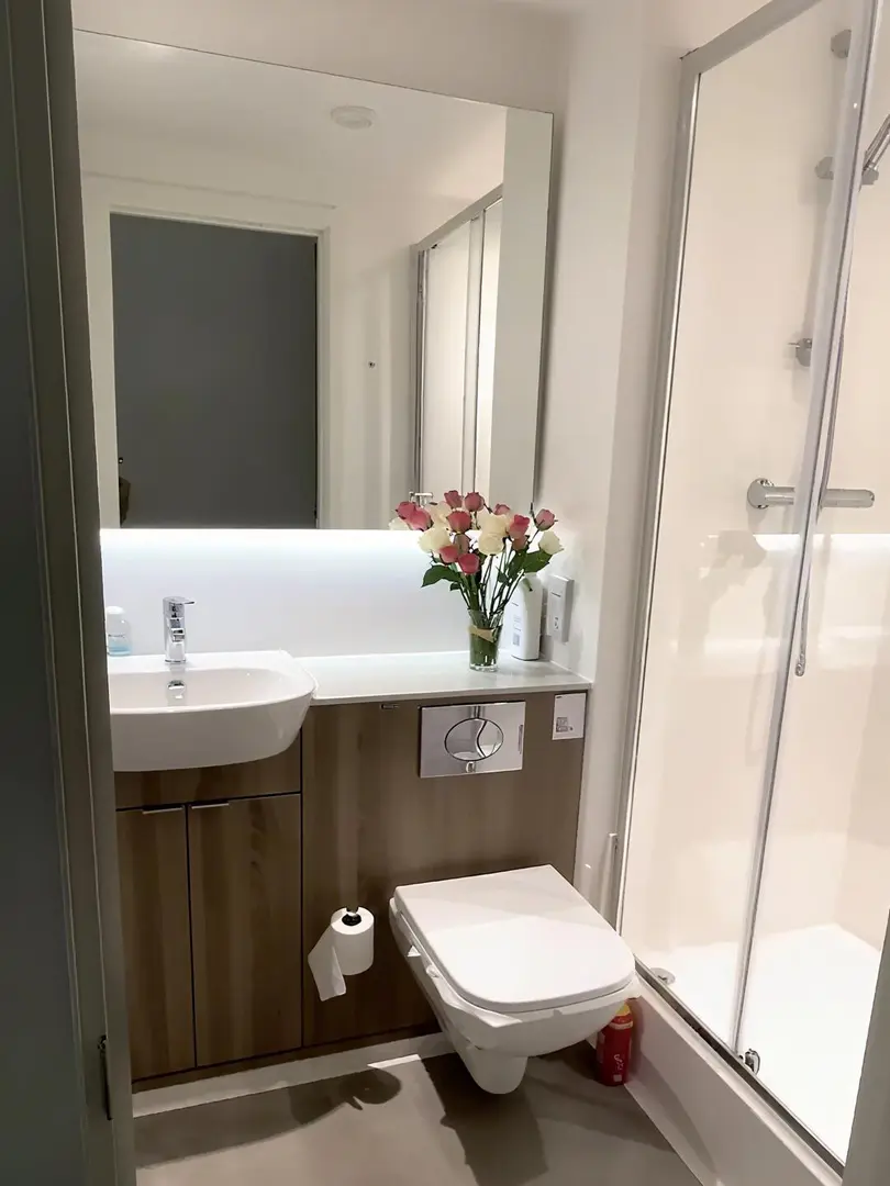 伯明罕找一個室友｜低價🉑🔪