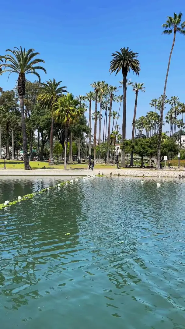 在洛杉磯美麗的公園散步🚶