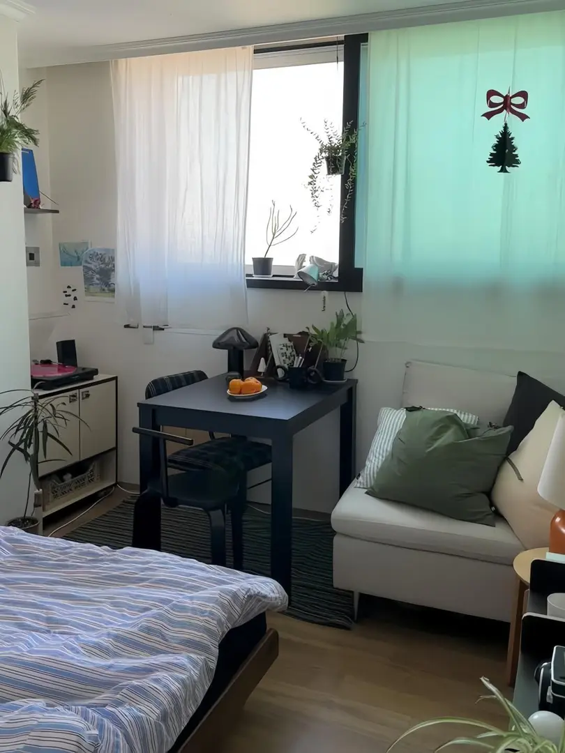 雪梨UNSW租房天花板｜步行到校閉眼沖❗️